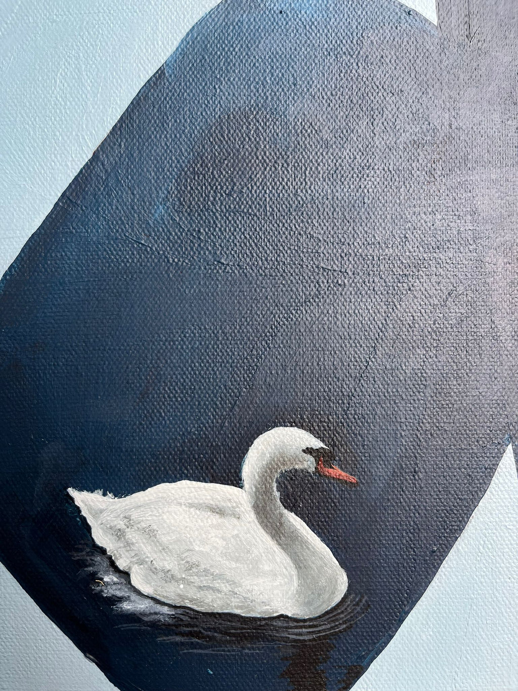 Swanning About The Park