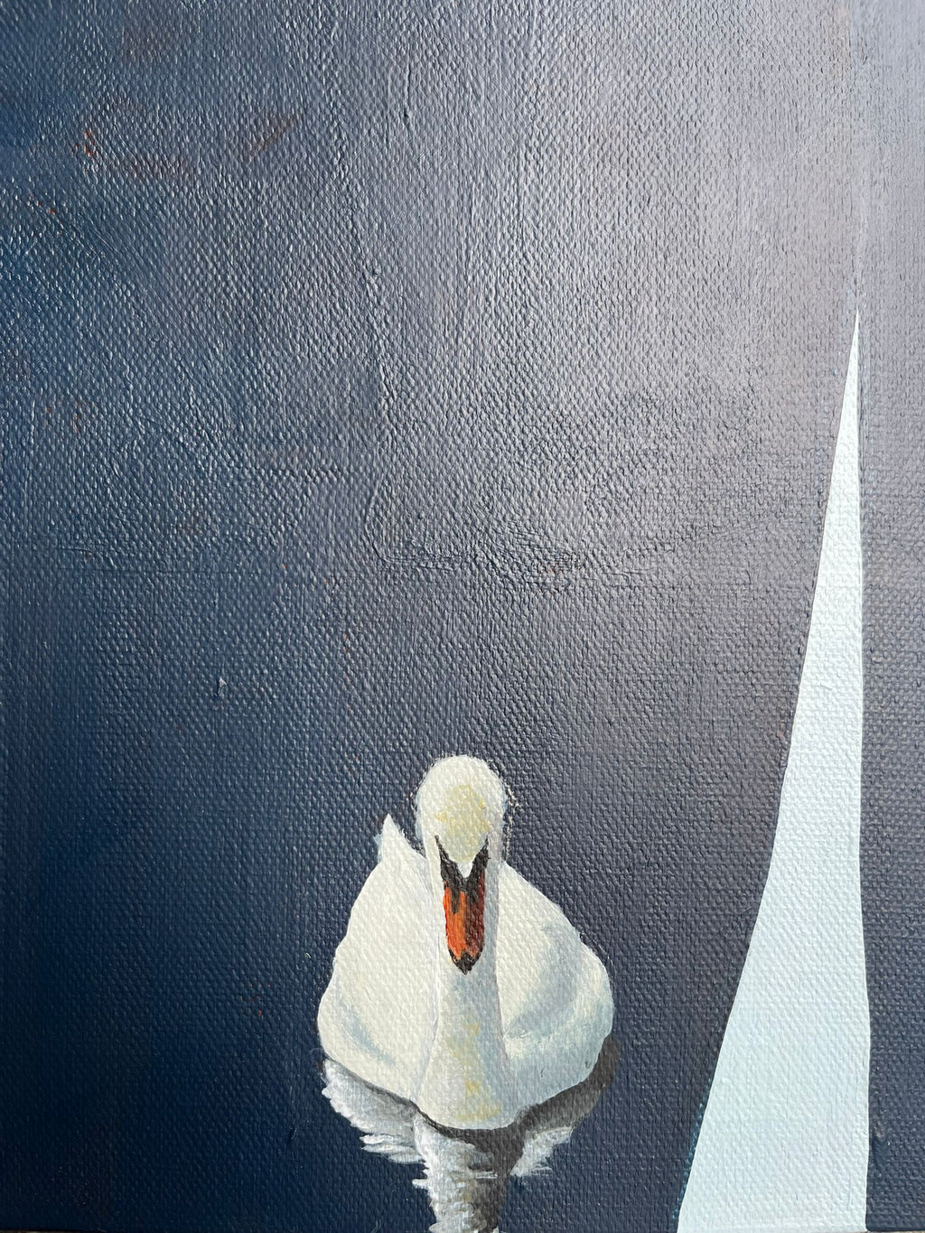 Swanning About The Park